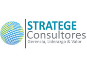 Stratege Consultores C.A edita www.elgurux.com